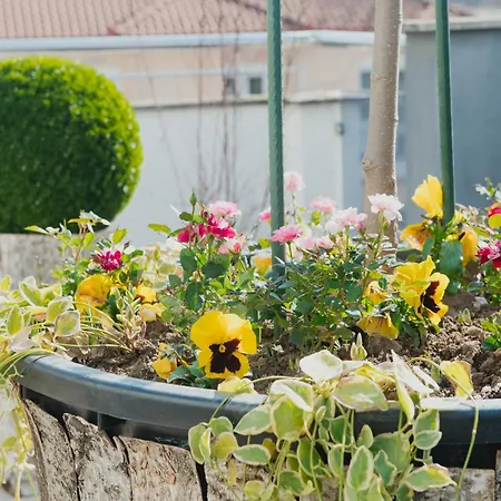 Appartement Garden Sky Edessa