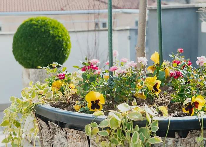 Apartman Garden Sky Édesza